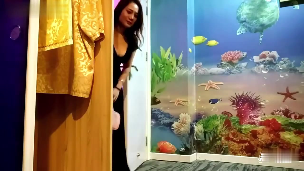每日必看黄色在线观看：全集畅享黄色网高清极速秒播